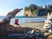 Image result for olympic national park