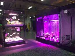 I chose this over two 200w lights or one 400w light because i fill the space with even light everywhere (in theory). Indoor Gardening Diamond Direct Led High Power Grow Lights Horticulture Grow Systems