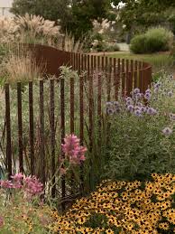 Image result for Lankesteria alba