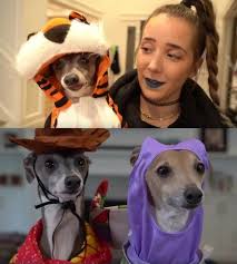 Kermit is nervous jenna marbles dog tshirt classic t shirt premium, classic tshirt,trending tshirt, hoodie, sweatshirt, long sleeve bradleywalkerdesign 5 out of 5 stars (1) sale price $19.19 $ 19.19 $ 22.59 original price $22.59 (15%. 17 Times Jenna Marbles Adorable Dog Kermit Brought Us Moments Of Pure Joy