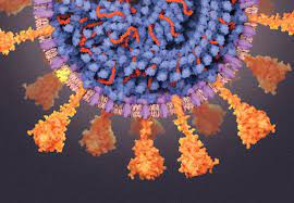 Individuals businesses and employers tax practitioners customs and excise what's my tax number? A Visual Guide To The Sars Cov 2 Coronavirus Scientific American