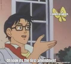 7 watchers1.9k page views26 deviations. 1st Amendment Freedom Of Speech Meme 10lilian