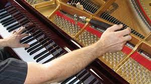 How often does piano tuning should be done? The Ultimate Guide To Piano Care How Often Do I Need To Tune My Piano Merriam Music Toronto S Top Piano Store Music School
