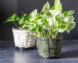 Diy plant pots diy recycle plastic bottle bottle garden diy home decor hello everyone this is my first diy video i hope it helps. Top 44 Cool Diy Planters You Can Make From Scratch Or Recycled Materials