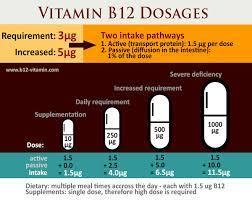 It is important in the normal functioning of the nervous system via its role in the synthesis of myelin, and in the maturation of red blood cells in the bone marrow. Vitamin B12 An Overview Dr Schweikart