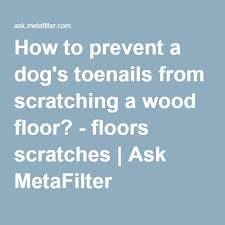 How To Prevent A Dog S Toenails From Scratching A Wood Floor Scratched Wood Floors Dog Toenails Scratched Wood