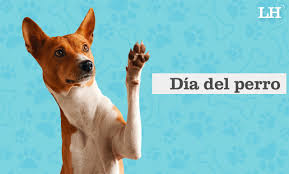 Maybe you would like to learn more about one of these? Dia Mundial Del Perro Sabe Que Es Lo Mas Buscado En Gt Sobre Ellos La Hora