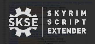 The original version of skyrim, the special edition of skyrim and vr edition of skyrim. Skyrim Script Extender Skse64 At Skyrim Special Edition Nexus Mods And Community