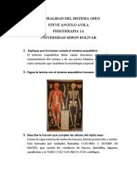 Generalidad Del Sistema Oseo
