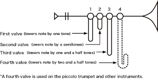The Structure Of The Trumpet How Does The Trumpet Generate
