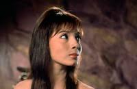 The Magnificent Seven (1960)