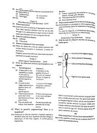 The time given at the head of this paper is the time allowed for writing the answers. Class 5 Question Paper 2020 Cbse Class 12 Maths Sample Paper 2020 Available For Class 7 1st Summative Exam Question Paper English 2021 With Pdf Skrngpkehelm