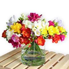 Pin On Flores Raras