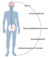 Die pubertät beginnt mit dem sprießen der haare unter den achseln und um die geschlechtsorgane. Effektive Tipps Gegen Vorzeitigen Samenerguss Shytobuy