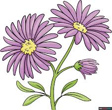 Image result for Aster
