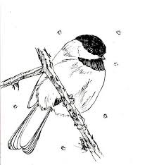 Awesome collection of animal coloring pages. A Z Birds From Albatross To Zebra Finch Kids Nature Activities Bird Book Nature Kids