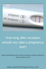 Pin On Pcos