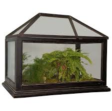 Victorian Mahogany And Glass Terrarium In 2020 Glass Terrarium Terrarium Terrarium For Sale