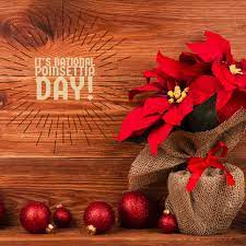 Happy National Poinsettia Day 10 Festive Facts About The Iconic Christmas Favorite Luxury Flower Arrangement Beautiful Flowers Luxury Flowers