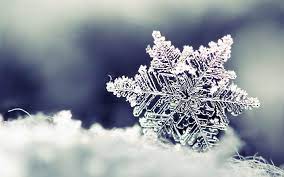 Check spelling or type a new query. Storia Di Un Fiocco Di Neve Lega Nerd