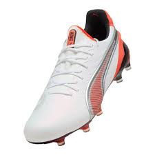 Image result for Puma 20