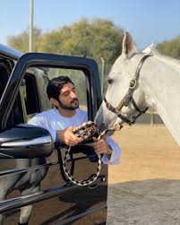 Pin By Muza On Sheikh Hamdan Bin Mohammed Horses Handsome Prince My Pictures