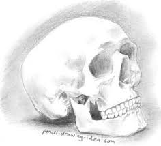 Pencil Drawing Of A Skull Easy Steps On How To Draw A Skull In 2020 Easy Drawings Pencil Drawings Human Skull Drawing