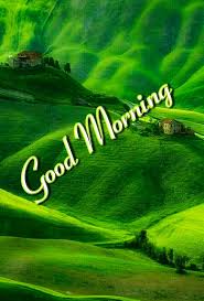 Good morning flowers good morning greetings good morning good night good morning images amazing nature beautiful landscapes wonders of the world holland the good place. Top 40 Good Morning Images For Whatsapp Good Morning Images For Whatsapp Good Morning Quotes Mixing Images