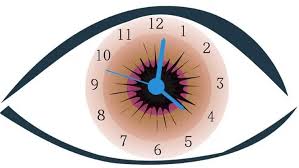 Image result for Visual Fixation