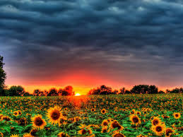 Download free summer screensavers for your windows desktop pc today! 12 Best Free Summer Wallpapers Of 2021