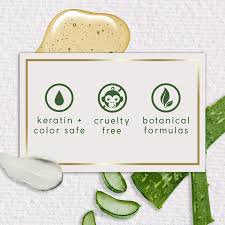 Amazon.com : Theorie Charcoal Bamboo Detoxifying Conditioner- Purify &  Restore, Nurture Color & Keratin Treated Hair, Suited For All Hair Types,  400ML : Beauty & Personal Care