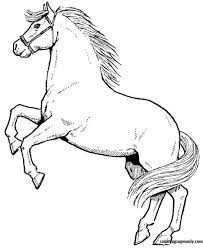 Learn more about the various rules and jumps involved in this competition. Horse Jumping Coloring Pages Horse Coloring Pages Coloring Pages For Kids And Adults