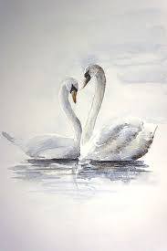 White Swans Original Watercolor Painting Birds In Love 2019 Watercolour By Yana Shvets Tree Watercolor Painting Bird Watercolor Paintings Swan Painting