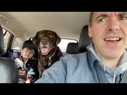 The Vet Messed Up With Roxy