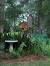 Bird Feeding Station
