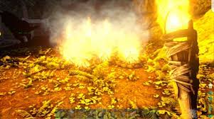 My name is travis aka tlc138. Egg Is Too Cold To Hatch My Fertilized Deinonychus Egg Ark