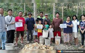 Sedia maklum, lembaga getah malaysia (lgm) telah melaksanakan satu sistem bantuan musim tengkujuh yang bertujuan meringankan bebanan pekebun kecil dan penoreh getah. Kenapa Beri Bantuan Kepada Risda Tapi Bukan Kami Soal Pekebun Kecil Getah Di Sabah Free Malaysia Today Fmt