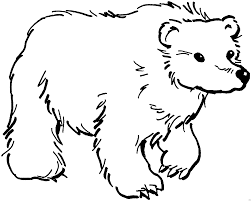 Baer 3 Ausmalbild Malvorlage Tiere