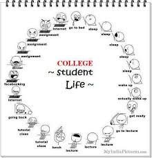 The College Student Daily Cycle Student Life Funny College Jokes Student Life