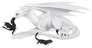Gefallt 780 Mal 27 Kommentare Skylight The Night Fury Skylight Nightfury Auf Instag How To Train Dragon How Train Your Dragon How To Train Your Dragon