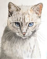 However, all white cats or kitten are likely to be deaf and it is a major concern in most of pure white cats. White Kitten With Blue Eyes Painting By Kate Sumners
