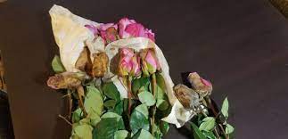 Now you can buy artificial flowers wholesale. Mayesh Cutflower 22 Photos 26 Reviews Wholesale Stores 2122 Faulkner Rd Ne Atlanta Ga United States Phone Number Yelp