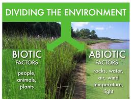 Abiotic And Biotic Factors In The Ocean Abiotic Biotic Factors Abiotic Biotic Biology Projects