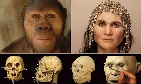 Paul Herder (paulherder)