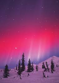 Aurora Hunting Tips In 2020 Alaska Hunting Alaska Alaska Winter