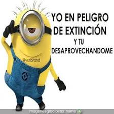 Frases De Amor Para Mi Novio Imagenes Chistosas Imagenes Graciosas Fotos Graciosas Chistes C Frases Cortas Graciosas Frases Graciosas Frases Divertidas