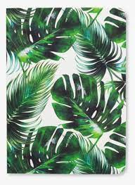 Children will color their palm leaves green. Tropical Leaf Handbag Notes Palm Leaf Print Tropical Leaf Transparent Png 800x800 Free Download On Nicepng