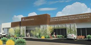 A tucson pet clinic offering integrative veterinary care. University Of Arizona Veterinary College Earns Accreditation News Vin
