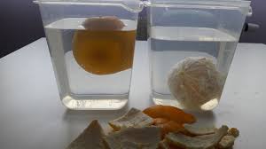 orange density experiment. will it sink