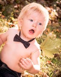 Beverly Hart Photography